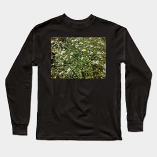 Autum Aster Wildflowers Long Sleeve T-Shirt